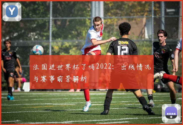 法国进世界杯了吗2022:出线情况与赛事前景解析