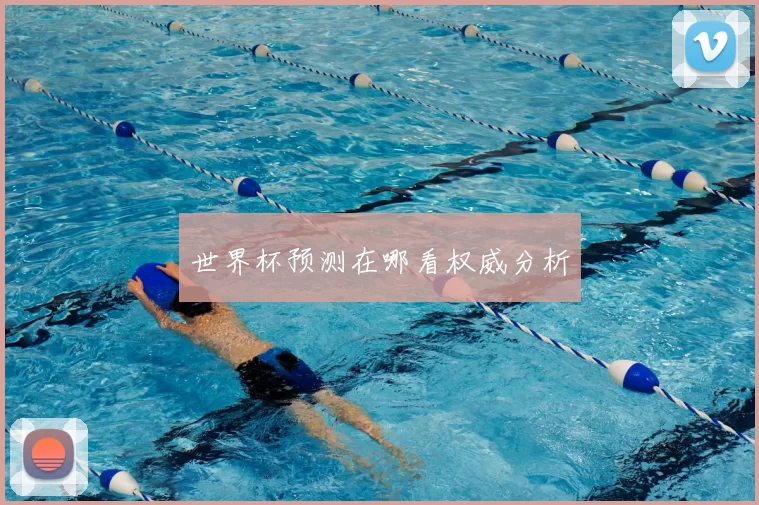 世界杯预测在哪看权威分析