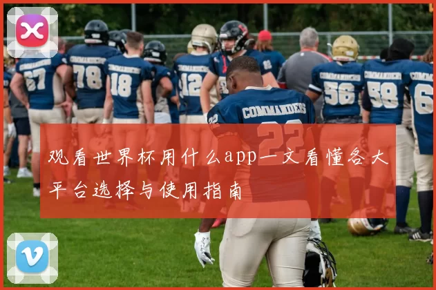 观看世界杯用什么app一文看懂各大平台选择与使用指南