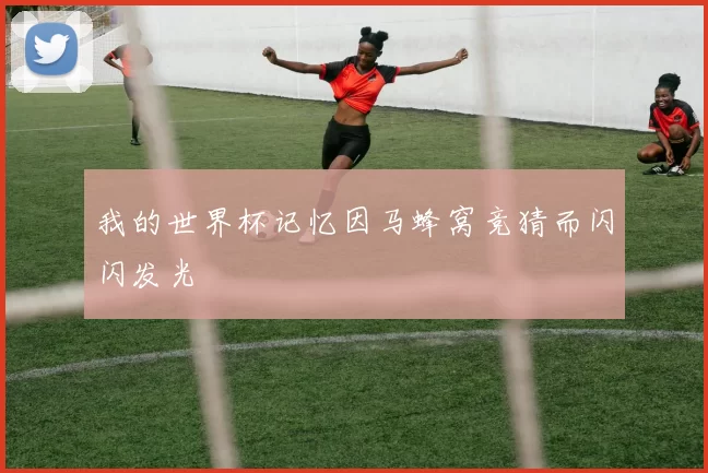我的世界杯记忆因马蜂窝竞猜而闪闪发光