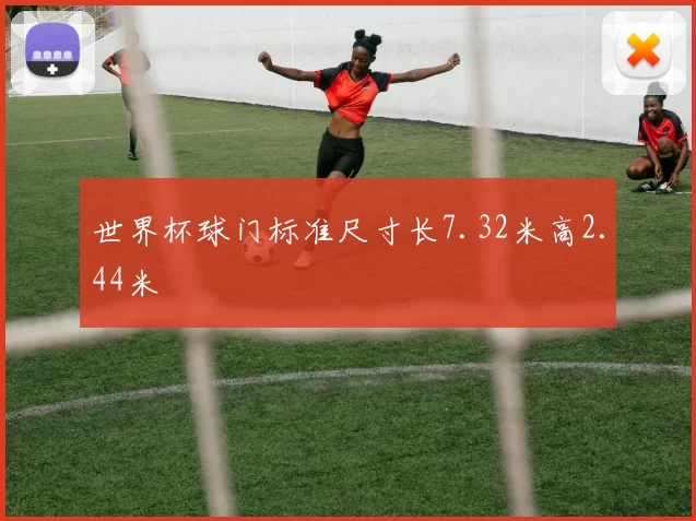 世界杯球门标准尺寸长7.32米高2.44米
