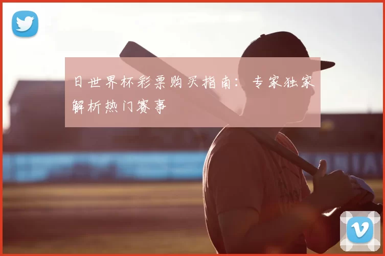 日世界杯彩票购买指南：专家独家解析热门赛事