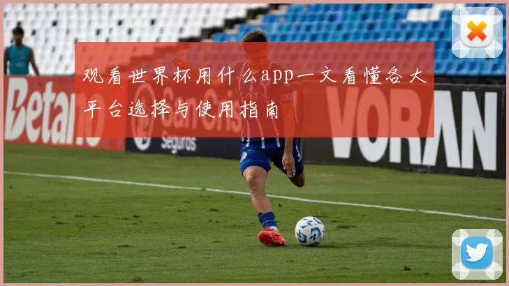 观看世界杯用什么app一文看懂各大平台选择与使用指南