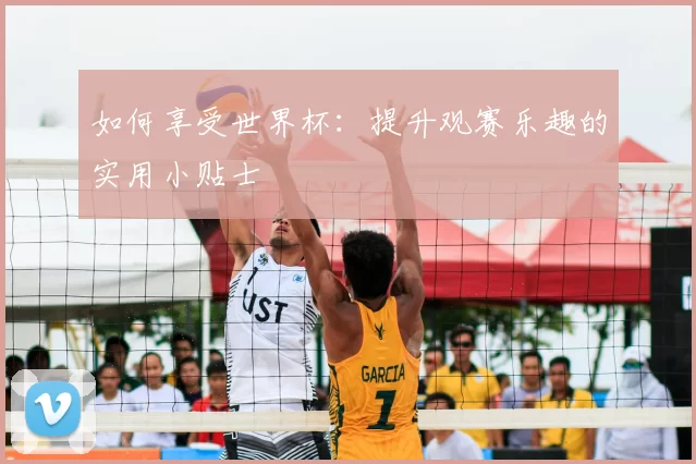 如何享受世界杯:提升观赛乐趣的实用小贴士