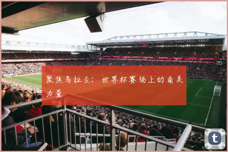 聚焦乌拉圭:世界杯赛场上的南美力量