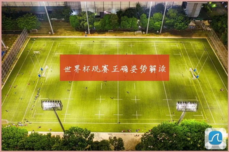 世界杯观赛正确姿势解读