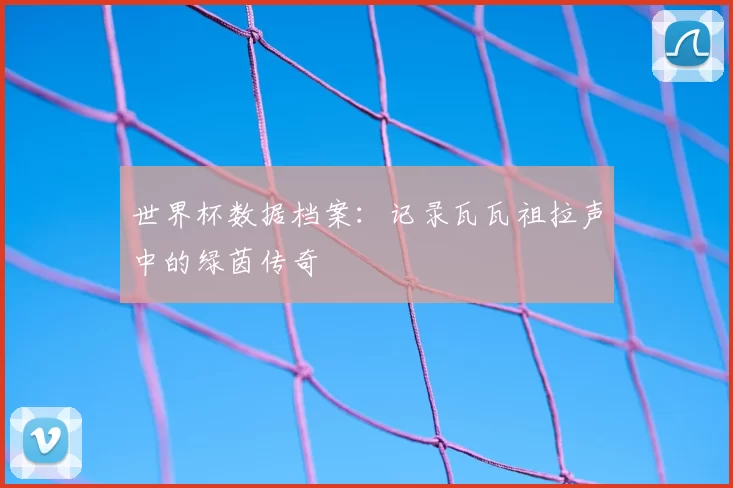 世界杯数据档案：记录瓦瓦祖拉声中的绿茵传奇
