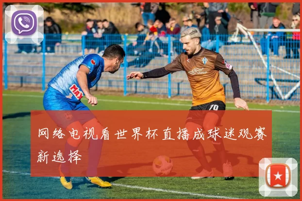 网络电视看世界杯直播成球迷观赛新选择