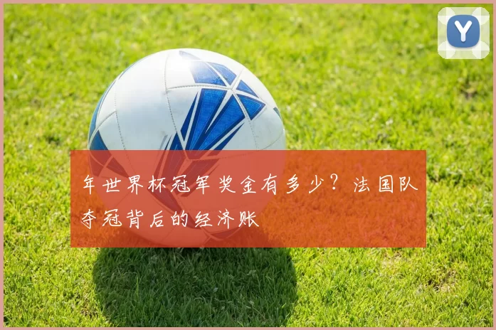 年世界杯冠军奖金有多少?法国队夺冠背后的经济账