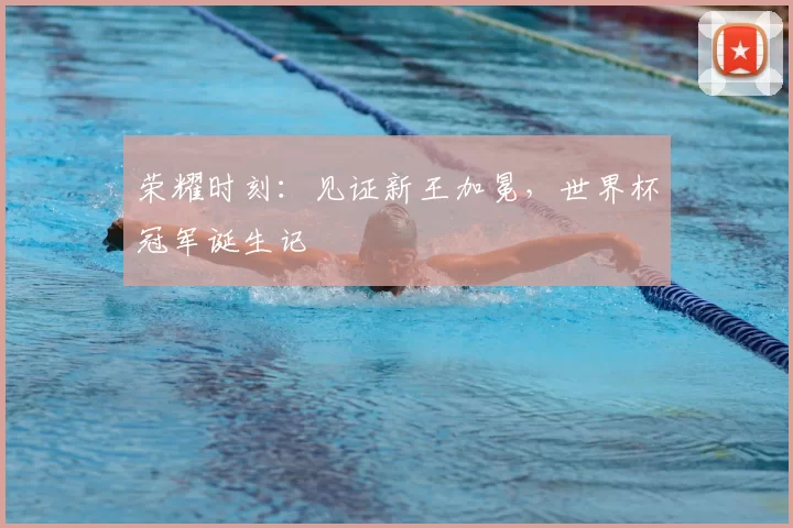 荣耀时刻:见证新王加冕,世界杯冠军诞生记