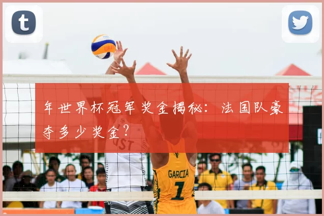 年世界杯冠军奖金揭秘：法国队豪夺多少奖金？