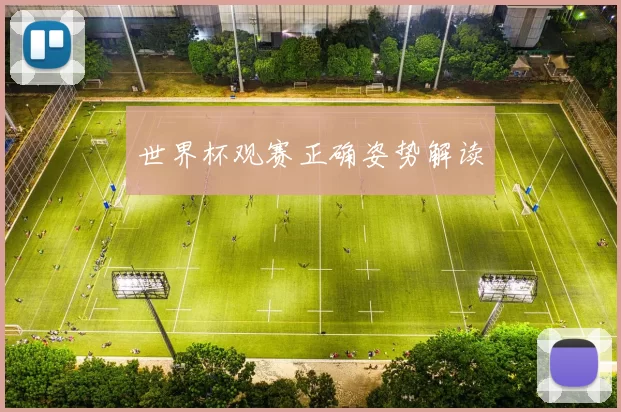 世界杯观赛正确姿势解读