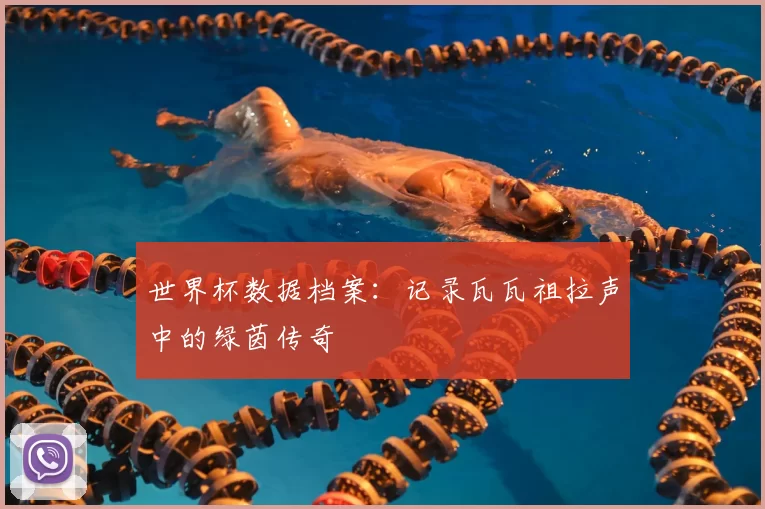 世界杯数据档案:记录瓦瓦祖拉声中的绿茵传奇
