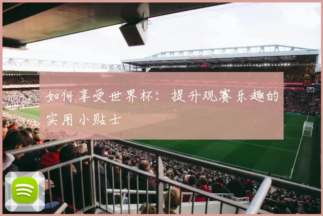 如何享受世界杯：提升观赛乐趣的实用小贴士